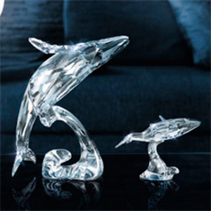 SCS &eacute;dition 2012